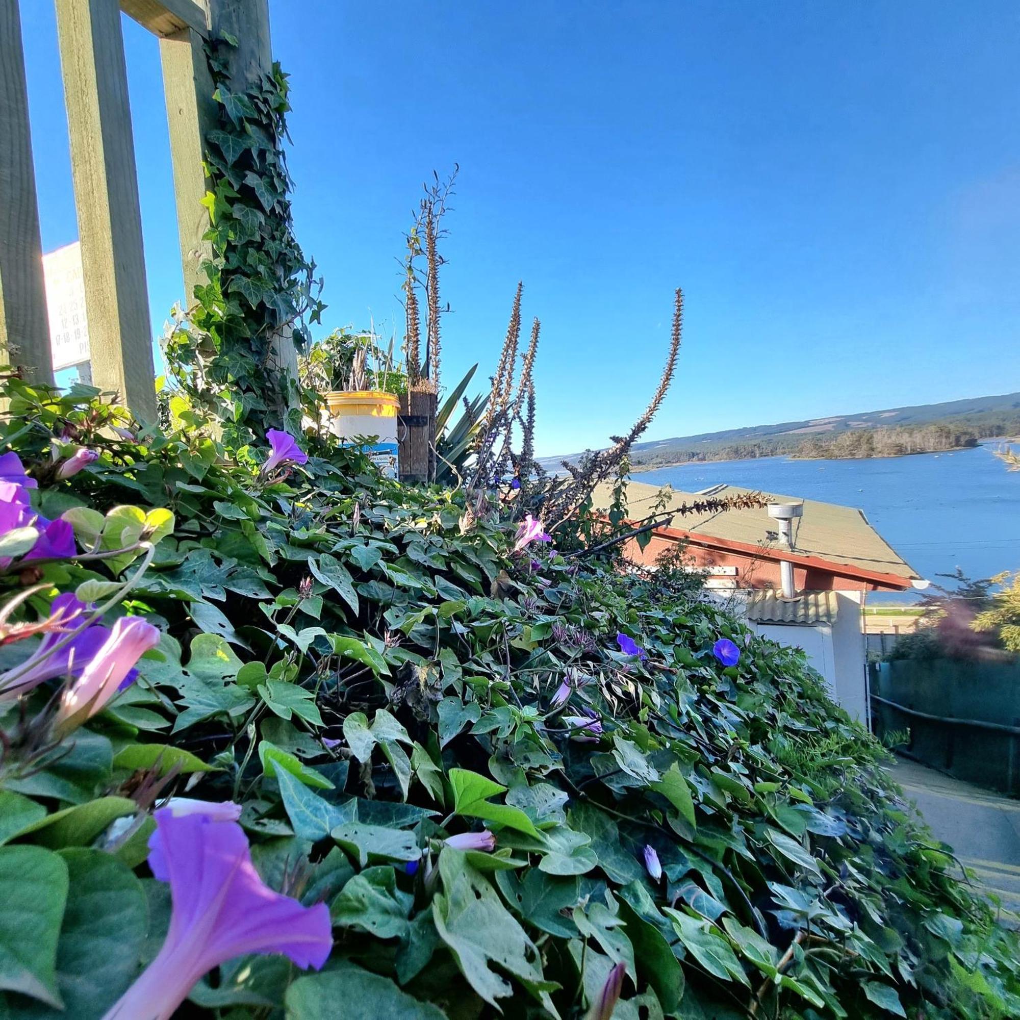 Max & Mar Pichilemu Hotel ภายนอก รูปภาพ